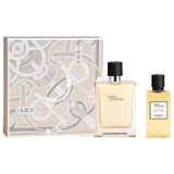 Hermes Terre D'Hermes Gift Set for Men, 100Ml + Sower Gel 80Ml - Fragmetics.com