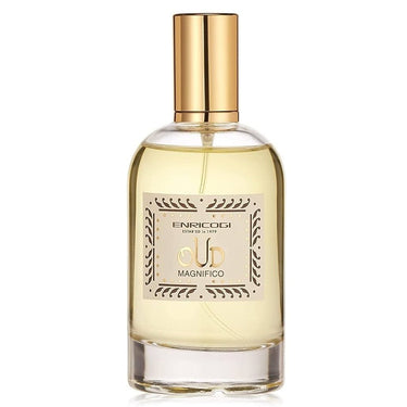 Oud Magnifico EDP Unisex by Enrico Gi, 100 ml - Fragmetics.com
