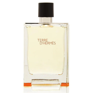 Terre D'hermes EDT for Men by Hermes, 100 ml - Fragmetics.com