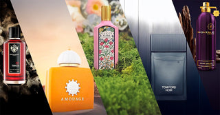 Buy Perfumes Online in UAE - Fragmetics.com