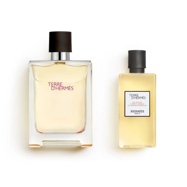 Hermes Terre D'Hermes Gift Set for Men, 100Ml + Sower Gel 80Ml - Fragmetics.com