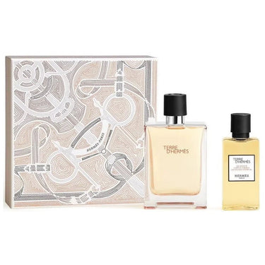 Hermes Terre D'Hermes Gift Set for Men, 100Ml + Sower Gel 80Ml - Fragmetics.com
