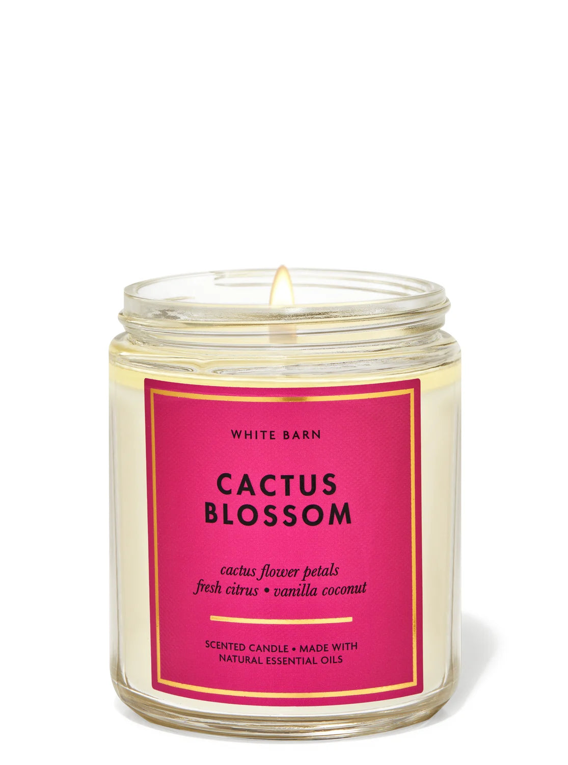 Bath & Body Works Cactus Blossom Single Wick Candle